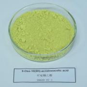吖啶酮乙酸鹽及脂類的醫(yī)學應用